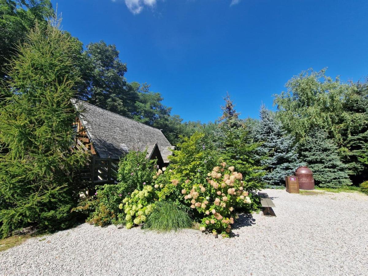 Oberza Pod Zlotym Prosiakiem Hotel Nieborów Exterior foto